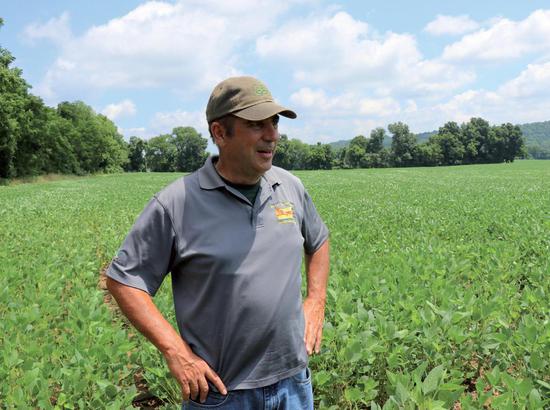 Bill Beam, who farms more than 3,000 acres of corn, soybeans and wheat near Elverson, Pennsylvania, stands in his field. His family has been running the farm since 1950s. (Calvin Zhou / China Daily)