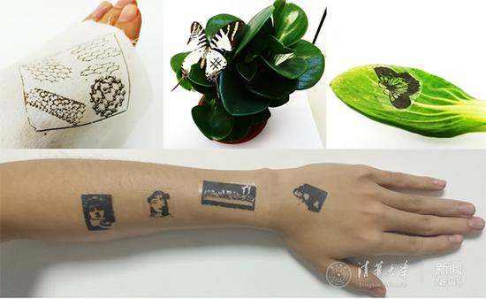 Graphene-based tattoo-like electronic skin attached to human skin and plants (Photo: Tsinghua University)