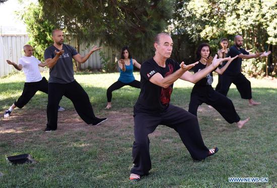 More and more Turks practice Tai Chi