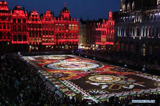 Giant flower carpet unrolled in central Brussels