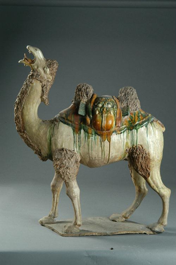 Tri-colored glazed camel of the Tang Dynasty /Photo courtesy of sach.gov.cn