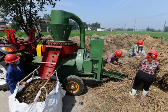 Workers make compressed fuel from waste straw in Nantong, Jiangsu province. (Photo/Xinhua)