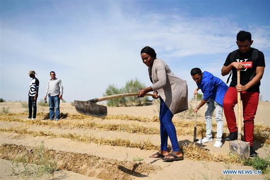 African students learn desertification combating technology in China