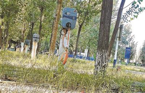 Electric vehicle charging poles have fallen into disrepair near Beijing's Xiedao Resort. (Photo/Beijing Youth Daily)