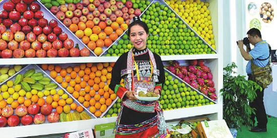 Staff member displays high-quality fruit produced in Yunnan at the province's stand during the event. (Photo by WU XIAOPING/FOR CHINA DAILY)