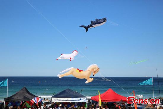 Sydney welcomes annual Kite Flying Festival