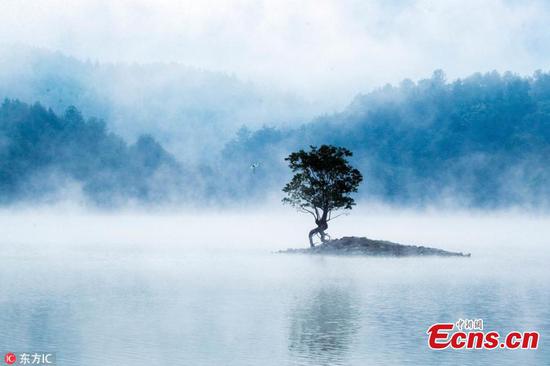 Eastern Qishu Lake looks like fairyland