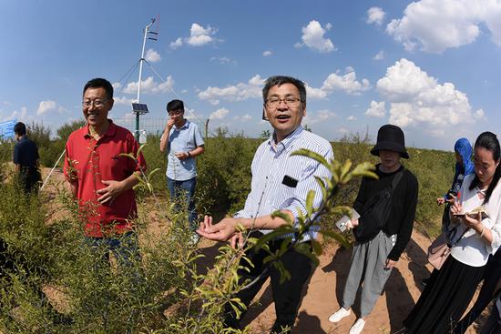 Geophysicist Shao Ming’an oversees the management and recovery of a sand ecosystem at an afforestation base in the Ordos Desert in Shenmu county, Shaanxi Province. (Photo/CHINA NEWS SERVICE)