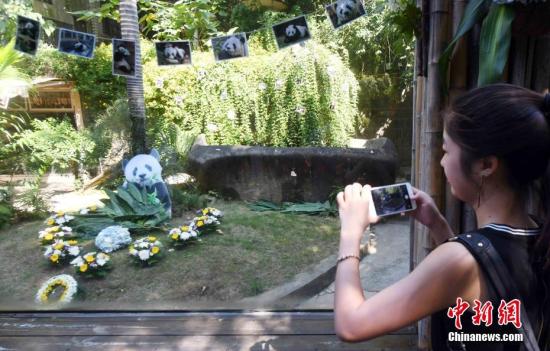 A girl takes photos of the panda house where the giant panda Basi lived.  (File photo/China News Service)