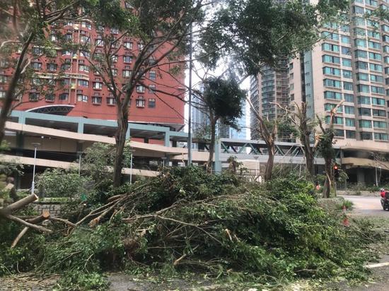 Windows of an office building were battered by the typhoon. /CGTN Photo