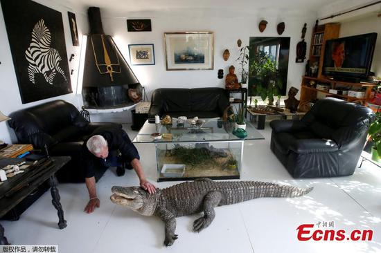 Frenchman shares home with 400 reptiles