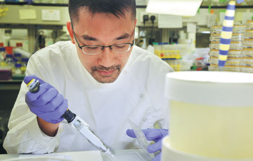Richard Kao Yitsun,associate professor at the Department of Microbiology at the University of Hong Kong, discovered a nonantibiotic compound that may beat MRSA. (Photo by Calvin Ng/China Daily)