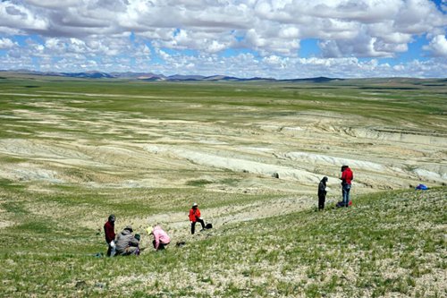 Scientists do research on the plateau in Tibet. (Photo/Courtesy of Nanjing Institute of Geology and Palaeontology of Chinese Academy of Sciences)