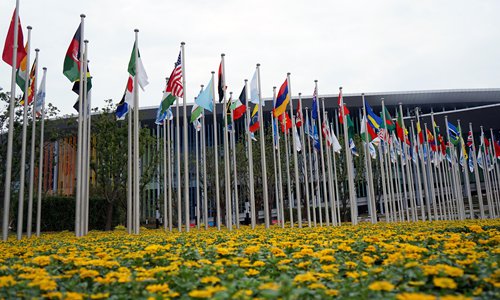 National flags of all the countries attending the upcoming CIIE are raised in the square in front of the National Exhibition and Convention Center at the main venue of the event in Shanghai, on October 15. (Photo: Yang Hui/GT)