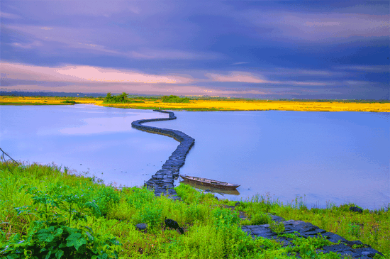 A snake-shaped bridge in a wetland park in Xinjiugou village in Haikou, South China's Hainan Province. (Photo by Zhe Duan/chinadaily.com.cn)