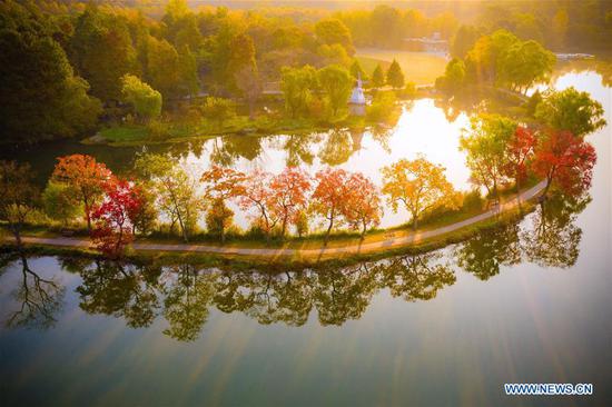 Autumn scenery across china
