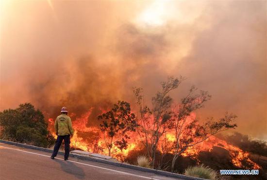 A firefighter keeps watching the wildfire burning near a freeway in Simi Valley, California, the United States on Nov. 12, 2018. The fire in Southern California continued to destroy homes. (Xinhua/Zhao Hanrong)