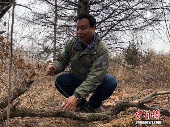 A patrol officer clear traps. (Photo/China News Service)