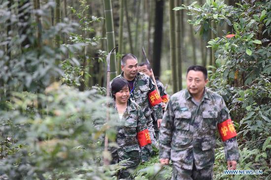 In pics: bamboo forest rangers in SW China's Guizhou