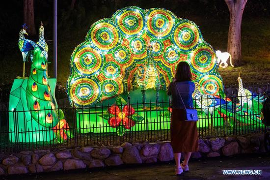 Chinese lantern festival held in Los Angeles