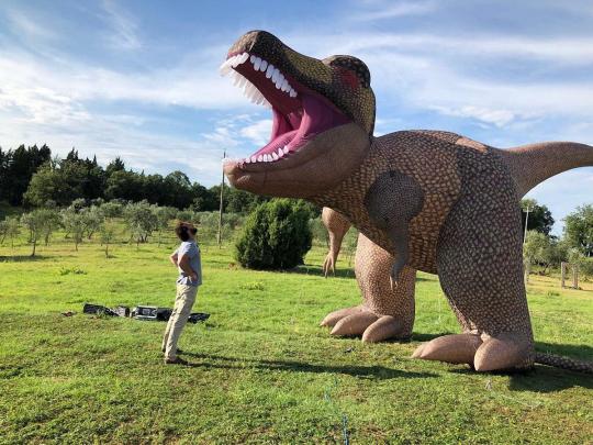 An Italian customer looks up at an inflatable dinosaur he bought at AliExpress, a Chinese business-to-customer site. He received the delivery within five days after he placed the order. (NIU JING/FOR CHINA DAILY)