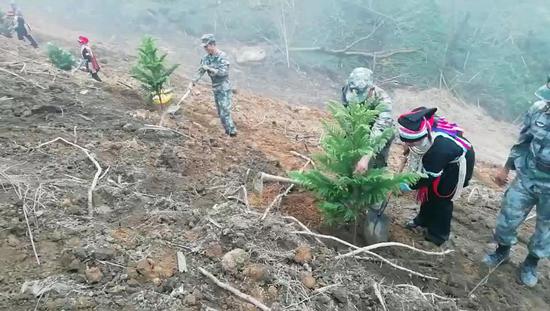 Soldiers and villagers plant trees together in the Bazi minefield after clearing in Yunnan, November 16, 2018. (Photo/courtesy of Li Wanyan)