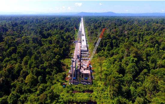 A viaduct running through the rainforests and swamps of the Temburong district is being built by a Chinese contractor as part of the cross-sea bridge to mainland Brunei. (Photo Provided To China Daily)