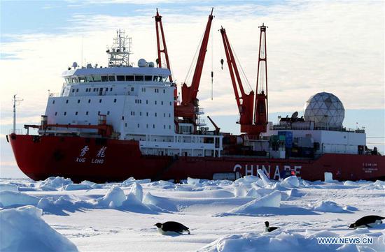 Penguins seen near China's research icebreaker Xuelong in Antarctica