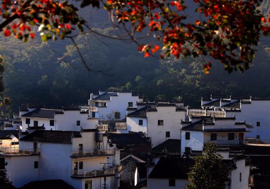 Autumn scenery of an ancient village in Wuyuan county, Jiangxi province, Oct 12, 2018.(Photo by Shi Guangde/Asianewsphoto)