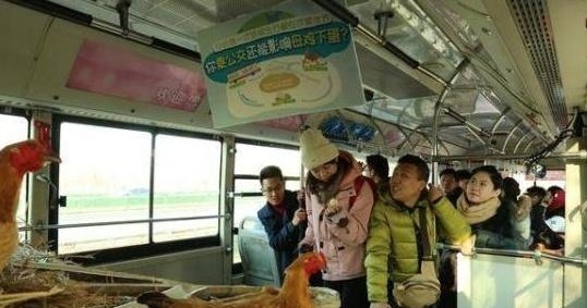 Passengers interact with a mechanical chicken coop in the back of a bus in Tianjin as part of a public awareness campaign on Friday. The coop dispenses real eggs to passengers for choosing public transportation. (Screenshot photo)