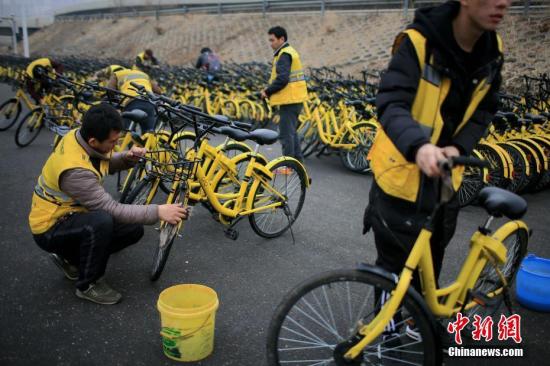 Workers put some Ofo bikes in order. (File photo/ China News Service)