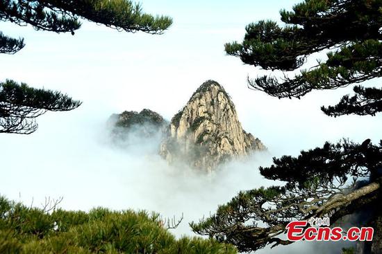 Mount Huangshan in winter beauty
