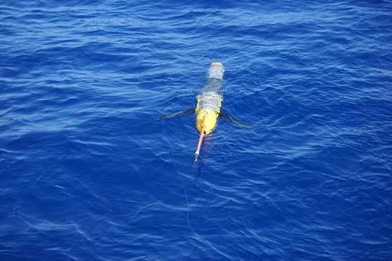 Chinese underwater glider “Haiyan” earlier set a record of continuously sailing 2,272.4 km over 119 days in the South China Sea in April. (File Photo/The Paper)