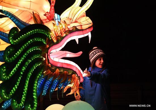 China Light Festival held at Cologne Zoo in Germany