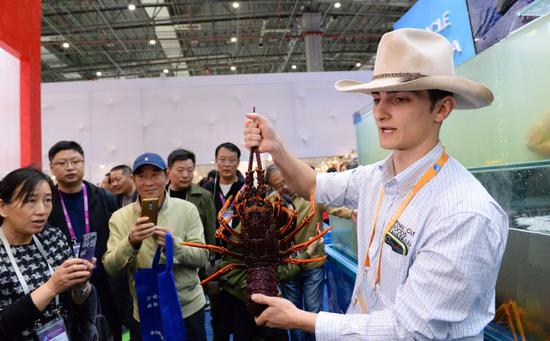 An Australian exhibitor introduces a lobster during an import expo in Shanghai. (Photo/Xinhua)