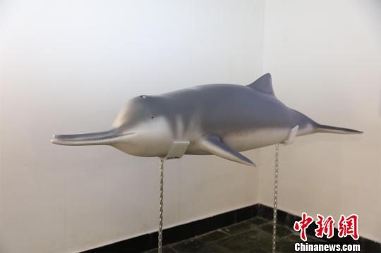 Replica of Qiqi, the Yangtze River Dolphin who died in 2002. (Photo/China News Service)
