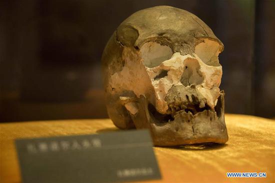 Human skull unearthed near north China border confirmed to be 10,000 years old