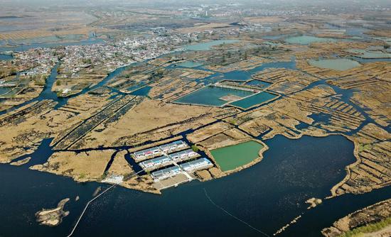 An aerial view of Xiongan New Area. (Photo/Xinhua)