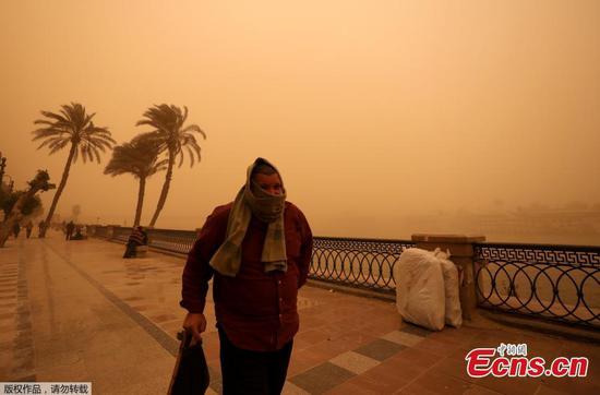 Severe sandstorm hits Egyptian cities, ports