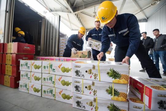 Customs officials examine fruit exported from Kaohsiung, Taiwan, via the Kaohsiung-Pingtan freight shipping route. （HU MEIDONG/CHINA DAILY）