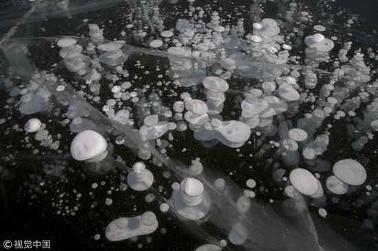 Winter wonder: air bubbles in frozen Songhua River