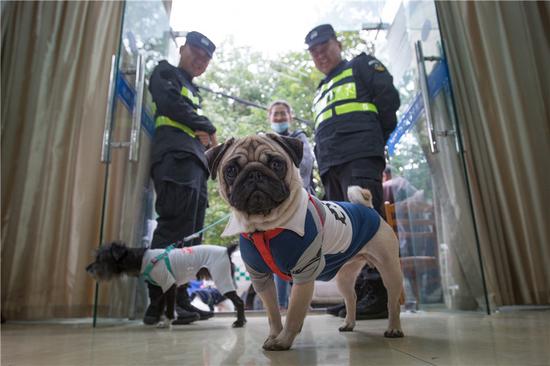 Dog lovers wait in line to obtain licenses for their pets at an administrative service center in Hangzhou, Zhejiang province. (NI YANQIANG/FOR CHINA DAILY)