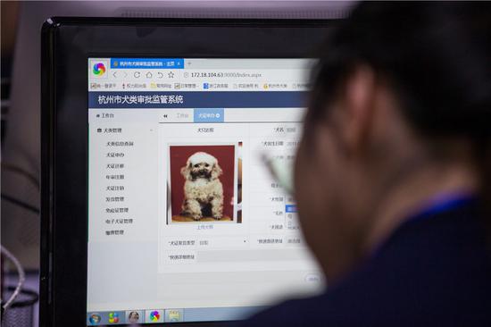 A member of staff at a service center checks the details of a dog registered on Hangzhou's digital information platform. (CHEN ZHONGQIU/FOR CHINA DAILY])