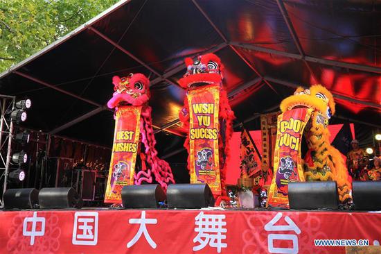 Artists perform lion dance at the 2019 National Multicultural Festival in Canberra, Australia, Feb. 16, 2019. The festival, held from February 15 to 17, provided a stage to various cultures around the world and mesmerized every visitor. (Xinhua/Pan Xiangyue)