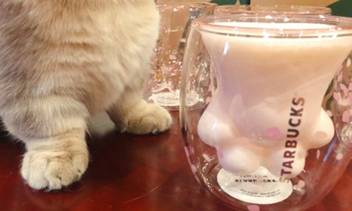 A Starbucks' cat paw cup filling with milk (Screenshot photo)
