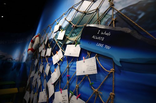 The audience writes down their wishes for the whales. (Photo: Yang Hui/GT)