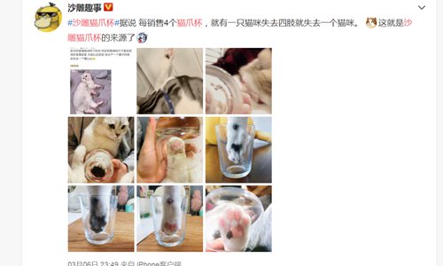 Net users' posts of real cats with a paw in a glass mug go viral on Sina Weibo, following the debut of Starbucks' limited edition mugs. (Screenshot photo of Sina Weibo)
