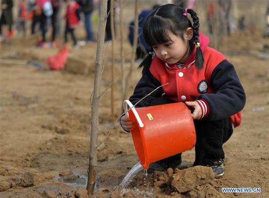 Primary school students take part in tree-planting activity in N China's Hebei