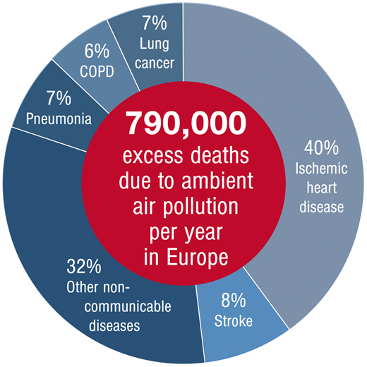 Excess deaths due to air pollution: At least 48 percent of deaths are due to cardiovascular disease (ischaemic heart disease and stroke). (European Health Journal Graphics)