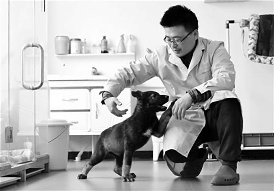 China's first cloned police dog Kunxun and a researcher.(Photo/Science and Technology Daily)